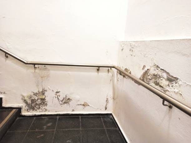 Logement : qu&rsquo;est-ce qui cause l&rsquo;humidité ?